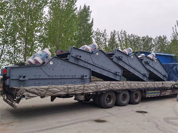 开云·官方端网页版登录入口